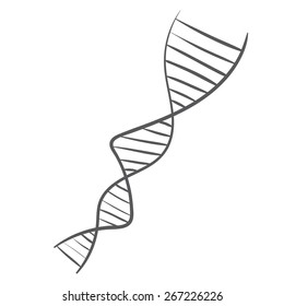 Vector hand drawn DNA spiral. acid symbol sketch on a white background