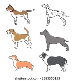 vector hand drawn dog breeds element collection