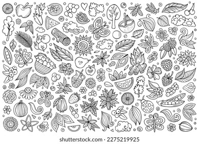 Vector hand drawn doodle cartoon set of Summer nature theme items, objects and symbols