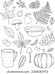 Vector hand drawn doodle cartoon set of Summer nature theme items, objects and symbols