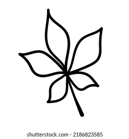 Vector hand drawn doodle Chestnut sketch Leaf. Vector isolated Cartoon Fall Botanical illustration.