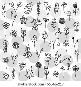 Vector hand drawn doodle floral elements.