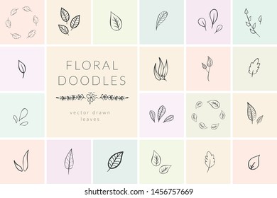 Vector Hand Drawn Doodle Florals, Plants, Branches, Laurels, Flowers. Design Elements Illustration Collection, Flexible Art Brushes