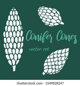 Vector hand drawn doodle illustration of pine or fir conifer cone set. New Year and Christmas decoration isolated on dark green background. Design element, poster or greeting card template
