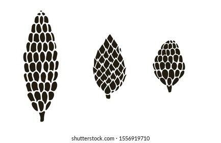 Vector hand drawn doodle illustration of pine or fir conifer cone set. New Year and Christmas winter decoration isolated on white background. Design element, poster or greeting card template