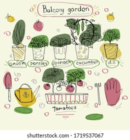 Vector hand drawn doodle illustration. Home garden concept with small potted vegetables images and signs of the vegetables. Cartoon flat style. Growing plants, natural food at home idea.