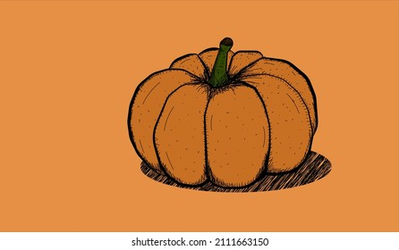 Vector hand drawn doodle illustration of pumpkin