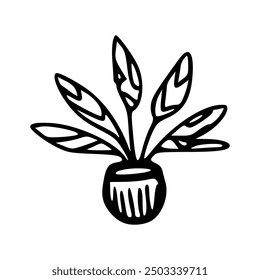 Vector hand drawn doodle illustration of a plant in a pot