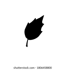 Vector hand drawn doodle leaf silhouette isolated on white background