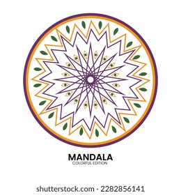 Vector hand drawn doodle mandala. Ethnic mandala with colorful tribal ornament. Isolated. Bright colors.