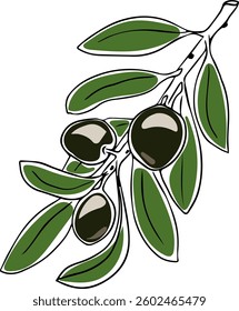 Vector hand drawn doodle of olive branch isolated on white background