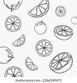 Vector Hand Drawn Doodle Oranges Set