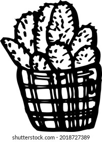 Vector hand drawn doodle plant, lined pot plant, home plants, cactuses