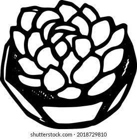 Vector hand drawn doodle plant, lined pot plant, home plants, house decoration