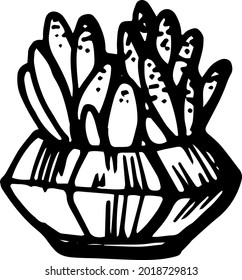 Vector hand drawn doodle plant, lined pot plant, home plants, house decoration