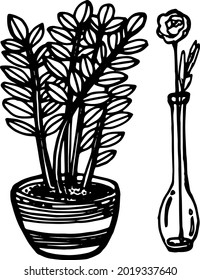 Planta de doodle dibujada a mano vectora, plantas de olla, zamioculcas dibujadas, flor en el jarrón