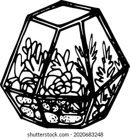 Plantas de doodle dibujadas a mano por vectores, flores de hogar, macetas de flores, flores suculentas 
