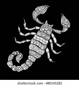 Vector hand drawn doodle scorpion illustration. Decorative zentangle scorpion drawing