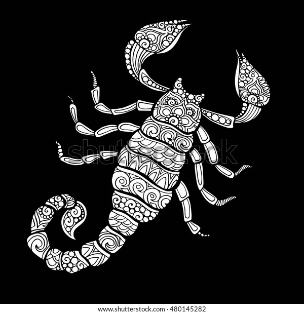 Vector Hand Drawn Doodle Scorpion Illustration Stock Vector (Royalty ...