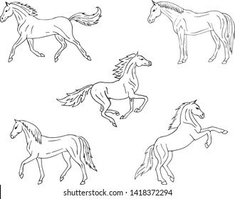 Vector hand drawn doodle set collection of horse isolated on white background 