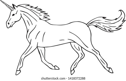 Vector hand drawn doodle sketch unicorn isolated on white background 