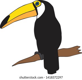 Vector hand drawn doodle sketch toucan bird isolated on white background 