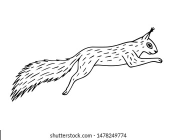 Vector Hand Drawn Doodle Sketch Jumping Squirrel Isolated On White Background