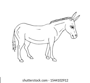 Vector hand drawn doodle sketch donkey isolated on white background