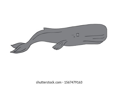Vector hand drawn doodle sketch sperm whale cachalot isolated on white background