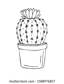 Vector hand drawn doodle sketch flower cactus in pot isolated on white background