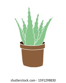 Vector hand drawn doodle sketch colored potted aloe vera isolated on white background