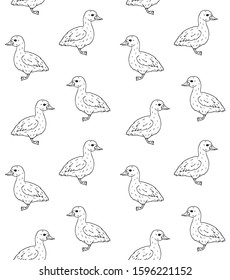 Vector hand drawn doodle sketch baby duckling duck isolated on white background