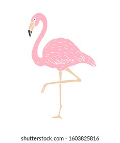 Vector hand drawn doodle sketch pink flamingo isolated on white background