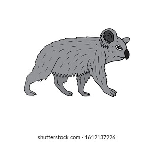 Vector hand drawn doodle sketch colored koala isolated on white background
