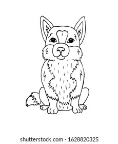 Vector hand drawn doodle sketch corgi dog isolated on white background