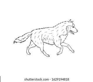 Vector hand drawn doodle sketch running husky dog isolated on white background