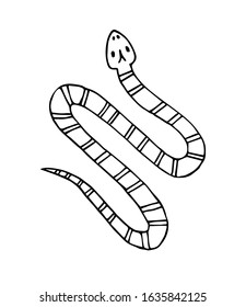Vector hand drawn doodle sketch snake isolated on white background
