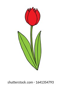 Vector hand drawn doodle sketch colored tulip flower isolated on white background
