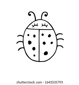 Vector hand drawn doodle sketch ladybug isolated on white background