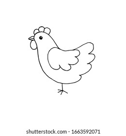 Vector hand drawn doodle sketch chicken isolated on white background