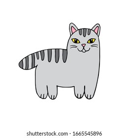 Vector hand drawn doodle sketch gray cat isolated on white background