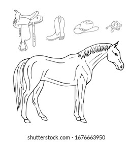 Vector hand drawn doodle sketch horse and riding equestrian cowboy western equipment set isolated on white background