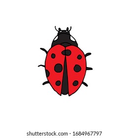 Vector hand drawn doodle sketch red ladybug isolated on white background