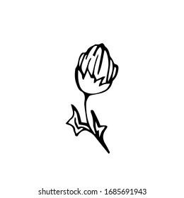 Vector hand drawn doodle sketch black flower isolated on white background. Lovely spring plant