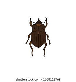 Vector hand drawn doodle sketch brown bug beetle isolated on white background