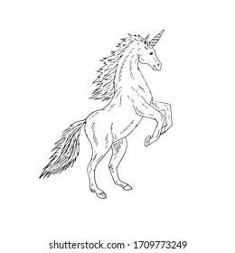 Esbozo de doodle dibujado a mano unicornio aislado en fondo blanco