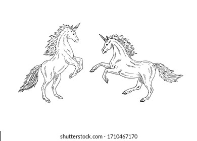 Vector hand drawn doodle sketch two unicorn isolated on white background