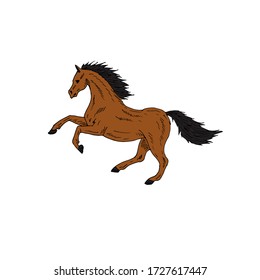 Vector hand drawn doodle sketch running brown bay horse isolated on white background