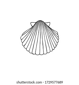 Vector Hand Drawn Doodle Sketch Shell Isolated On White Background