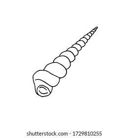 Vector hand drawn doodle sketch shell isolated on white background